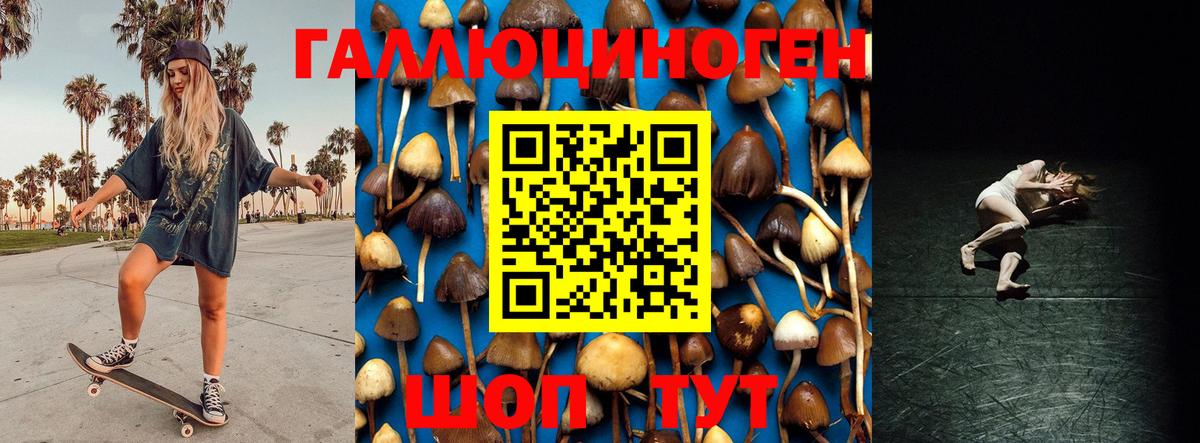 Биробиджан  Псилоцибиновые грибы мицелий  Вход с VPN  Псилоцибиновые грибы прущие грибы 